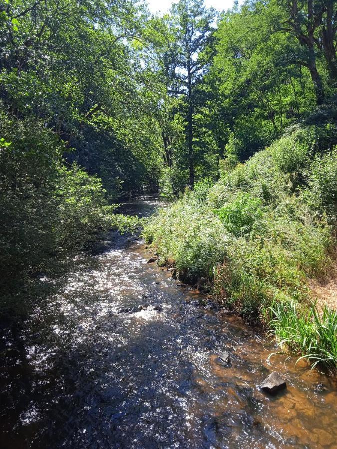 La Lisiere Du Morvan Magny-Lormes Buitenkant foto